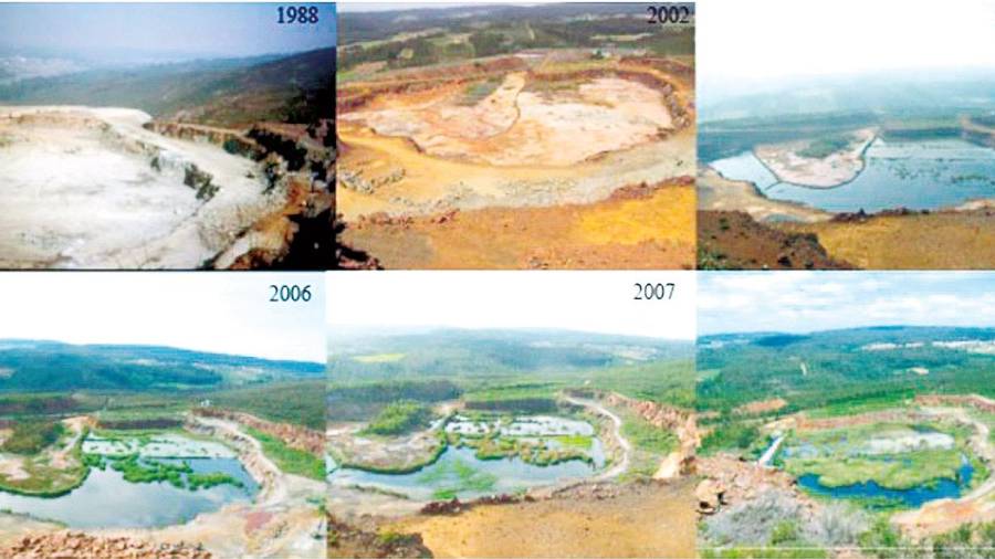 Imágenes de la regeneración de la misma zona de la mina de Touro que se está llevando a cabo en los terrenos de la explotación desde hace veinte años.