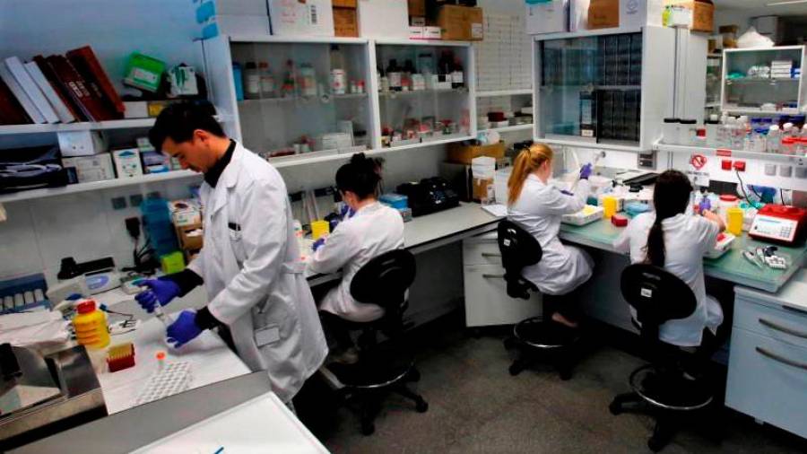 Científicos del Instituto de Investigación Sanitaria de Santiago en uno de los laboratorios