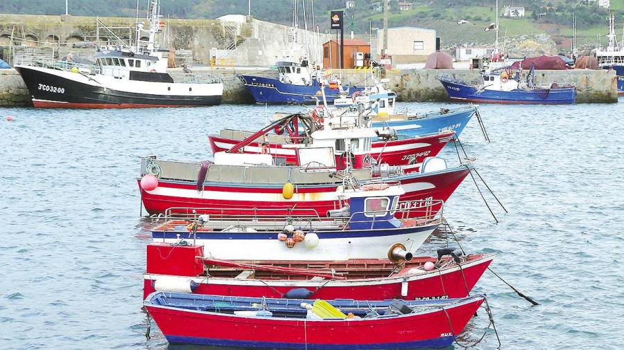 Laxe. Embarcacións da frota de baixura amarradas no porto da vila mariñeira de Laxe, onde a pesca e o marisqueo son sectores básicos. Foto: J. M. 