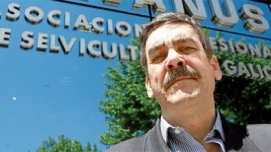 Antonio de María ängulo: Los políticos no son conscientes de lo que se juega Galicia si pierde ENCE y los eucaliptos