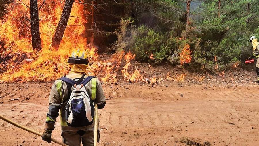 Efectivos gallegos son vitales en el cerco al incendio que quema 25.000 ha en Zamora