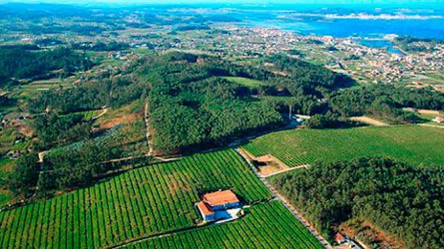 As Adegas Gran bazán consiguen o selo de Galicia Calidade para os seus viños