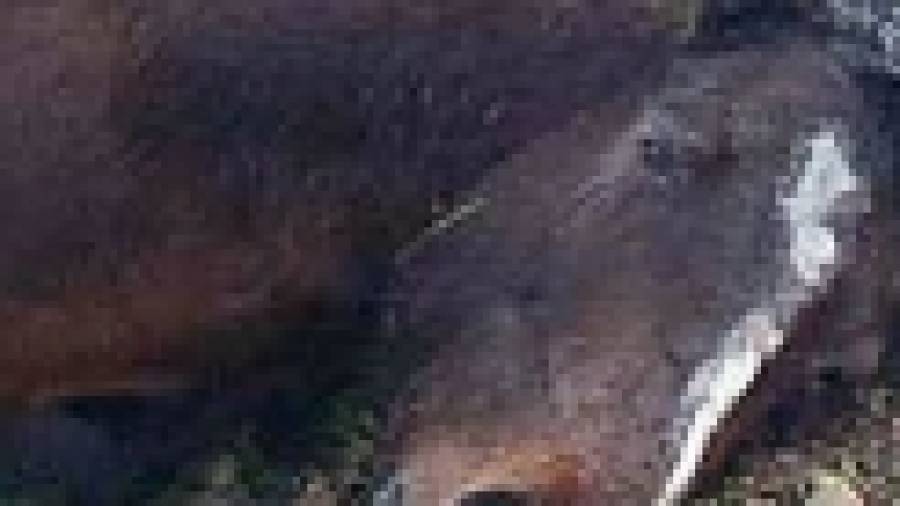 Caballos salvajes causan tres accidentes en Carnota durante los últimos días