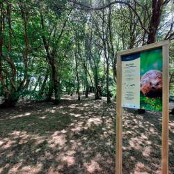 O espazo natural do Bosque do Añón será o escenario da tradicional Festa do Bosque. Foto: Concello de Carballo