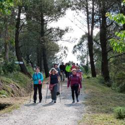 Un nutrido grupo de peregrinos recorriendo el Camino de Santiago a Fisterra y Muxía, a su paso por el municipio de Dumbría. Foto: J. M. R.
