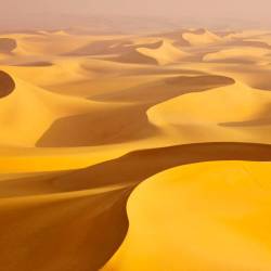 Desierto del Sáhara. Es uno de los más espectaculares del mundo y cruza prácticamente todo el norte de África. Sus doradas dunas son, sin duda alguna, la primera imagen que nos llega a la cabeza cuando pensamos en un desierto. (Fuente, www.traveler.es)
