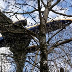 un avión que parece ‘arañar’ los árboles en la maniobra de acercamiento Foto: A. Hernández 
