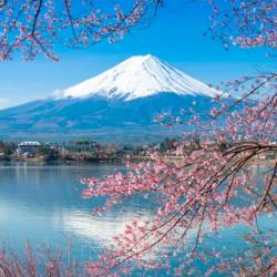 El Monte Fuji. El pico más alto de Japón es parte de los escenarios más inspiradores de este país. En realidad es un volcán pero no representa ningún peligro para la población circundante porque su última erupción se registró en 1707. Se considera sagrado y en su cima se encuentra un templo. (Fuente, www.vix.com)