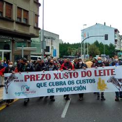 Protesta de Agromuralla el pasado 4 de noviembre por las calles de Lugo reivindicando una subida del precio de la leche. Foto: Campo Galego.