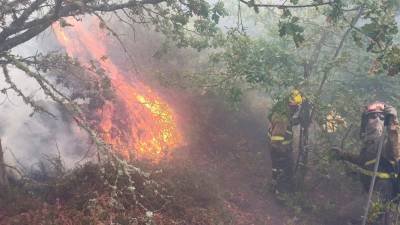 Efectivos trabajan en la extinción de un incendio forestal. Foto: Incendios de Galicia.