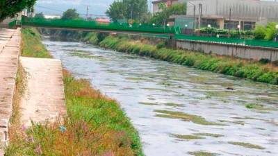 Canal del río Sar a su paso por la localidad coruñesa de Padrón, que será objeto de varias intervenciones para evitar inundaciones. Foto: G.