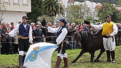 Exhibición de Doma ecuestre de pura raza gallega en la Feria de San Marcos