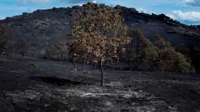 CUALEDRO (OURENSE), 15/09/2020.- Vista de la superficie calcinada en el incendio forestal de Cualedro (Ourense). EFE/Brais Lorenzo