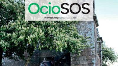 OcioSOS 21-03-2021