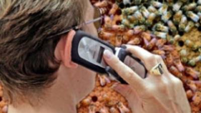 La OMS advierte del posible riesgo de cáncer cerebral por el uso de móviles