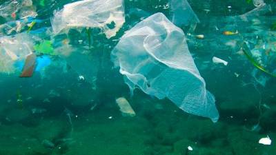 Plásticos contaminantes flotando en el medio marino, que acaban llegando al estómago de los peces Foto: ECG 