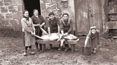 Imagen de una matanza del cerdo tradicional, sobre el banco, como se hacía antiguamente en la mayoría de las casas gallegas en esta época del otoño