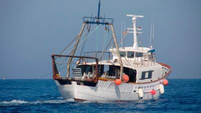 Galicia insta al Gobierno a presionar a la UE sobre el veto a la pesca de fondo