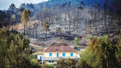 rubiá. Desolación en el municipio ourensano de A Veiga de Cascallá. Foto: Brais Lorenzo / Efe