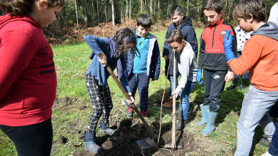 Alumnado do colexio de Baño planta 120 árbores autóctonas no monte de Vilares