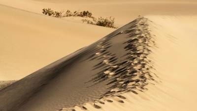 Huellas en las dunas de arena del Valle de la Muerte en California. (Autor,Etienne Laurent. Fuente, EFE)