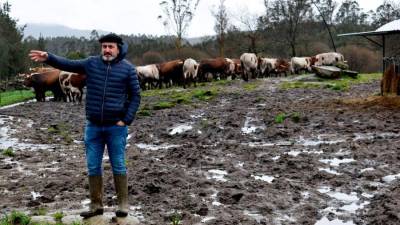 El gerente de Discarlux, José Portas, ante de las cabezas de ganado en un rincón de la parcela de Trasmonte.