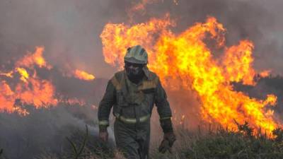 Incendio en Galicia (archivo). Foto: Brais Lorenzo