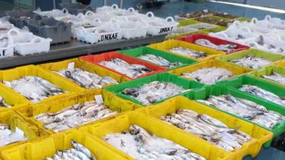 Las lonjas de pescados de Área facturaron más de 88 millones en 2016