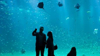 Unos visitantes se hacen un selfie delante de uno de los acuarios del Nausicaa Centre National de la Mer en la ciudad de Boulogne-sur-mer en Francia. Año 2018. (Autor, Olivier Hoslet. Fuente, EFE)