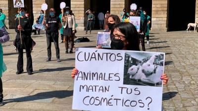 Manifestantes contra las práctias de Vivotecnia con animales en la plaza del Obradoiro, en Santiago. Fotografía: Javier Rosende