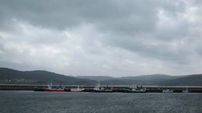 Flota, barcos amarrados en el puerto. Foto: E.P.