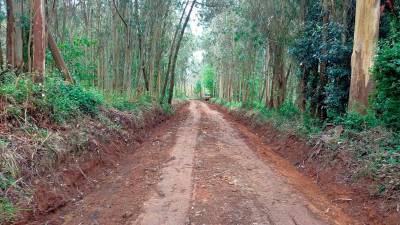 Arranxo de camiños forestais e de uso agrícola en Carballo. Foto: C. C.