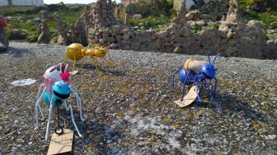 Exposición de Formigas no espigón do porto de Camelle. Foto: Concello de Camariñas