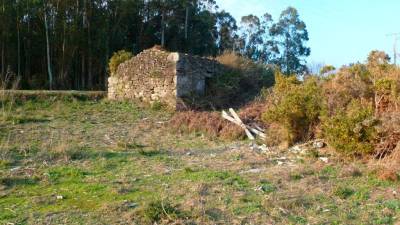 Vista parcial do estado actual das instalacións da antiga telleira de Quintáns, en Rianxo. Foto: Hispania Nostra 