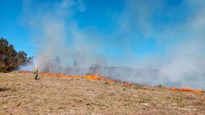 Incendio forestal en la parroquia compostelana de Santa Cristina de Fecha