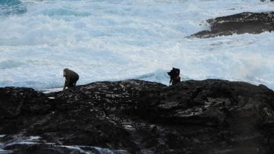 riesgo. Dos furtivos se dedican a extraer percebes en la costa coruñesa, entre el peligro de las rocas afiladas y el mar embravecido. Foto: Gallego 