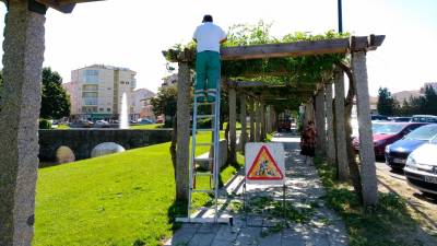 Un operario de jardines efectúa tareas de poda Foto: Angar