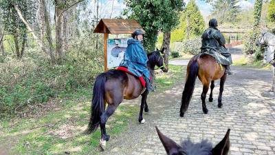 jakes montado en su caballo, con el que hoy llegará al Obradoiro tras peregrinar desde Sarria . Foto: The Pilgrim Horse