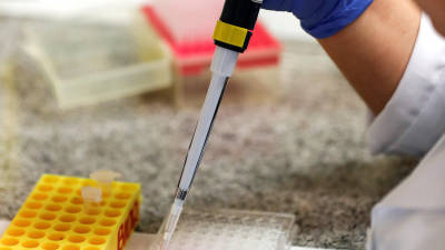 Se encuentran en vía de investigación un total de 20 vacunas frente al coronavirus