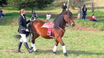 Laura Manteiga cun cabalo do centro equino de Sergude, que participan nas recepcións. Foto: A.P.R.G