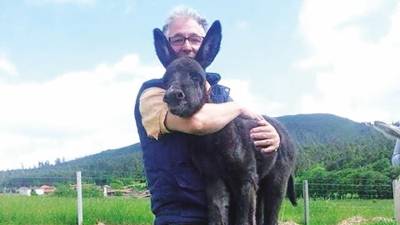 O terapeuta Tomás Rábanos, cun burro en brazos. Foto: FB