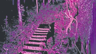 Escaleras de acceso teñidas de violeta
