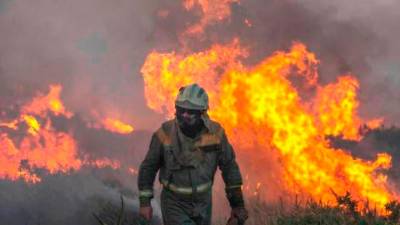 fuego. Miembro de una brigada en un incendio en Galicia. Foto: B. Lorenzo 