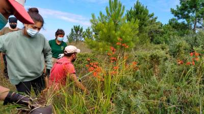 Un grupo de voluntarios elimina flora exótica invasora en la costa de Carballo. Foto: C.C.