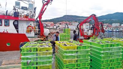 Una embarcación descargando cajas repletas de jurel en el puerto de Portosín. Foto: ECG