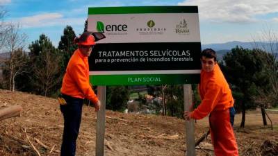 Imagen de archivo de dos integrantes de la ecobrigada de Amicos en una actividad de reforestación. Foto: Amicos