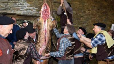 Recreación de una matanza tradicional que se hace todos los años con motivo del Cocido en Lalín. Foto: Sangiao