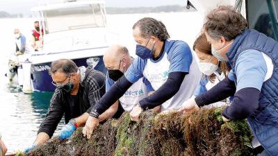 Sostenibilidad. Voluntarios extrayendo residuos del fondo marino en Arousa. Foto: Gallego