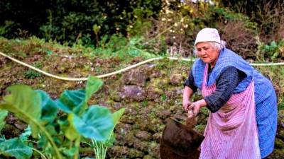 ourense. Unha muller ancián cultiva a súa pequena horta nunha aldea do interior de Galicia, da cal recolle legumbres, hortalizas e froitas que consume na casa. Foto: Efe