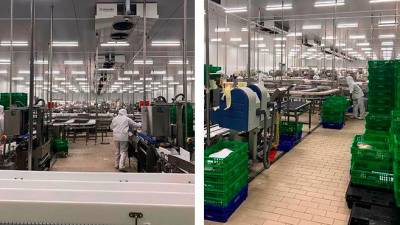 Imágenes de la planta de producción de Avícola de Galicia en Cambados con las medidas de seguridad incrementadas tras el incremento de la distancia entre operarios